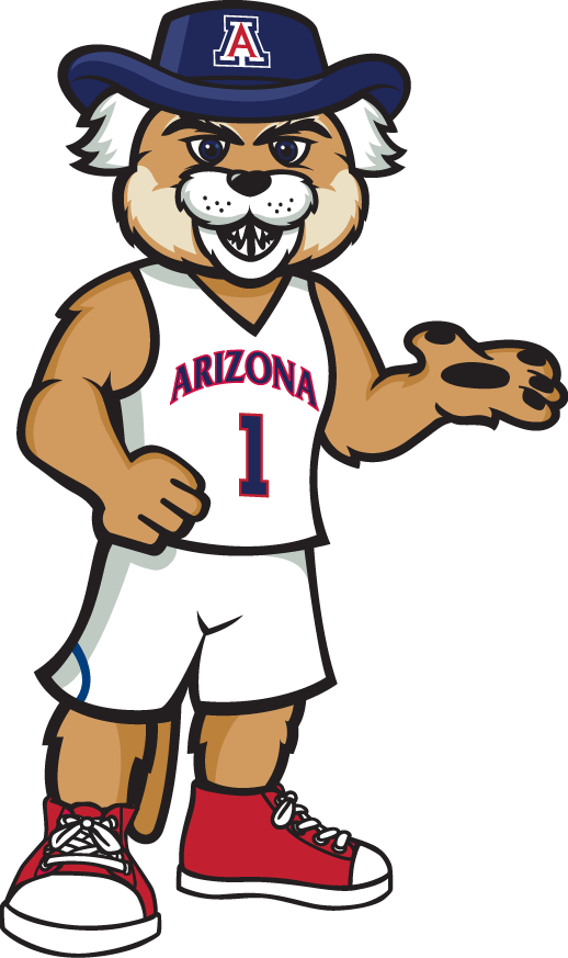 Arizona Wildcats 2013-Pres Mascot Logo v3 iron on transfers for T-shirts